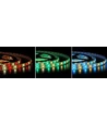 5m 12W/m RGB+WW LED strip - 12V, IP65, 60 LED pr. meter