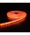 Orange 10W/m LED strip - 5m, 120 LED pr. meter, 24V, IP65