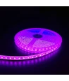 Pink 10W/m LED strip - 5m, 120 LED pr. meter, 24V, IP65