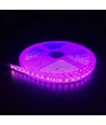 Pink 10W/m LED strip - 5m, 120 LED pr. meter, 24V, IP65