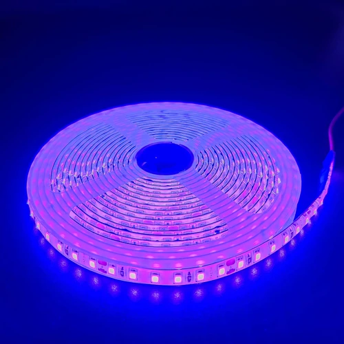 5m 10W/m Lilla LED strip - 24V DC, IP65, 120 LED pr. meter