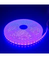 5m 10W/m Lilla LED strip - 24V DC, IP65, 120 LED pr. meter