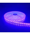 5m 10W/m Lilla LED strip - 24V DC, IP65, 120 LED pr. meter