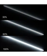 LEDlife Neon Tube LED 120 cm, Rød - Designer rør, Justerbar lysstyrke, inkl. ledning