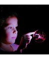 Plasma Lampe - Ø8,3 cm, perfekt til børn og barnlige sjæle