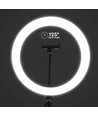 10W LED RINGLYS - 10 tommer, med bordstativ, 3200K-5500K