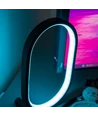 Ellipseformet RGBIC lampe - 25 x 15 cm, 10W, inkl. fjernbetjening, USB tilslutning