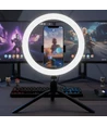 10W LED RINGLYS - 10 tommer, med bordstativ, 3200K-5500K