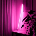 Neon Tubes