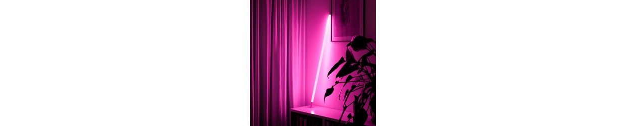 Neon Tubes