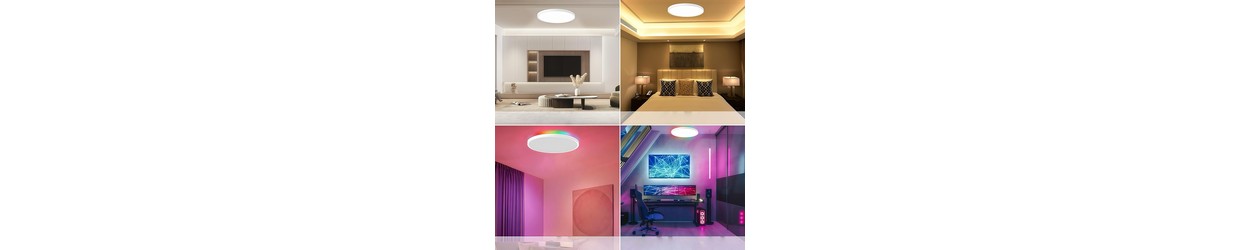 Loftmonteret